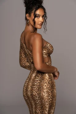 Snakeskin Rule Breaker Dress 34 Snakeskin Rule Breaker Dress -Trendify Store PRODUCT MAY202022 MISSING 20