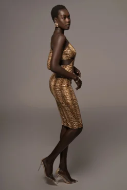 Snakeskin Rule Breaker Dress 32 Snakeskin Rule Breaker Dress -Trendify Store PRODUCT MAY92022 193