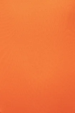 Jluxbasix Tangerine Bethie Scoop Long Sleeve Bodysuit 13 Jluxbasix Tangerine Bethie Scoop Long Sleeve Bodysuit -Trendify Store PRODUCT SEPT192022 MISSING 47